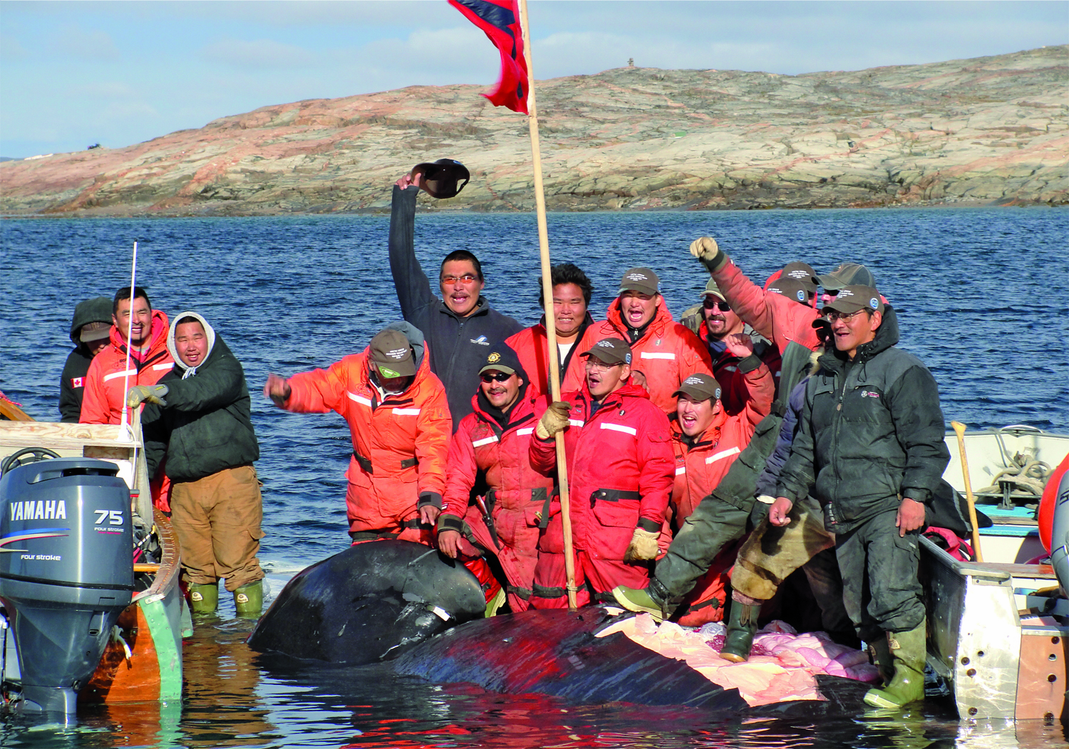 polowanie na wieloryba, Kanada
