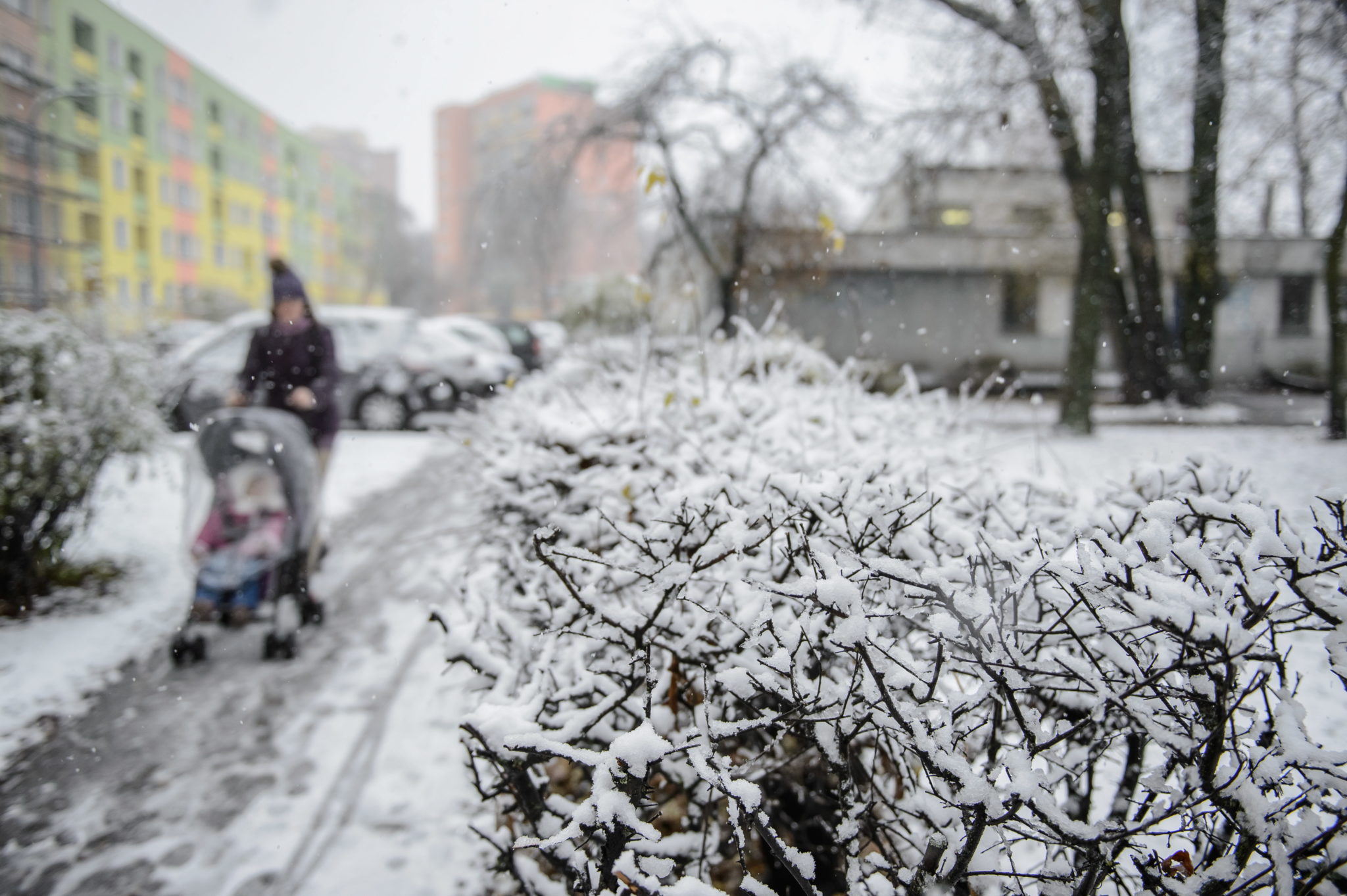 Polska: pierwszy śnieg w Lublinie (foto. PAP/Wojciech Pacewicz)