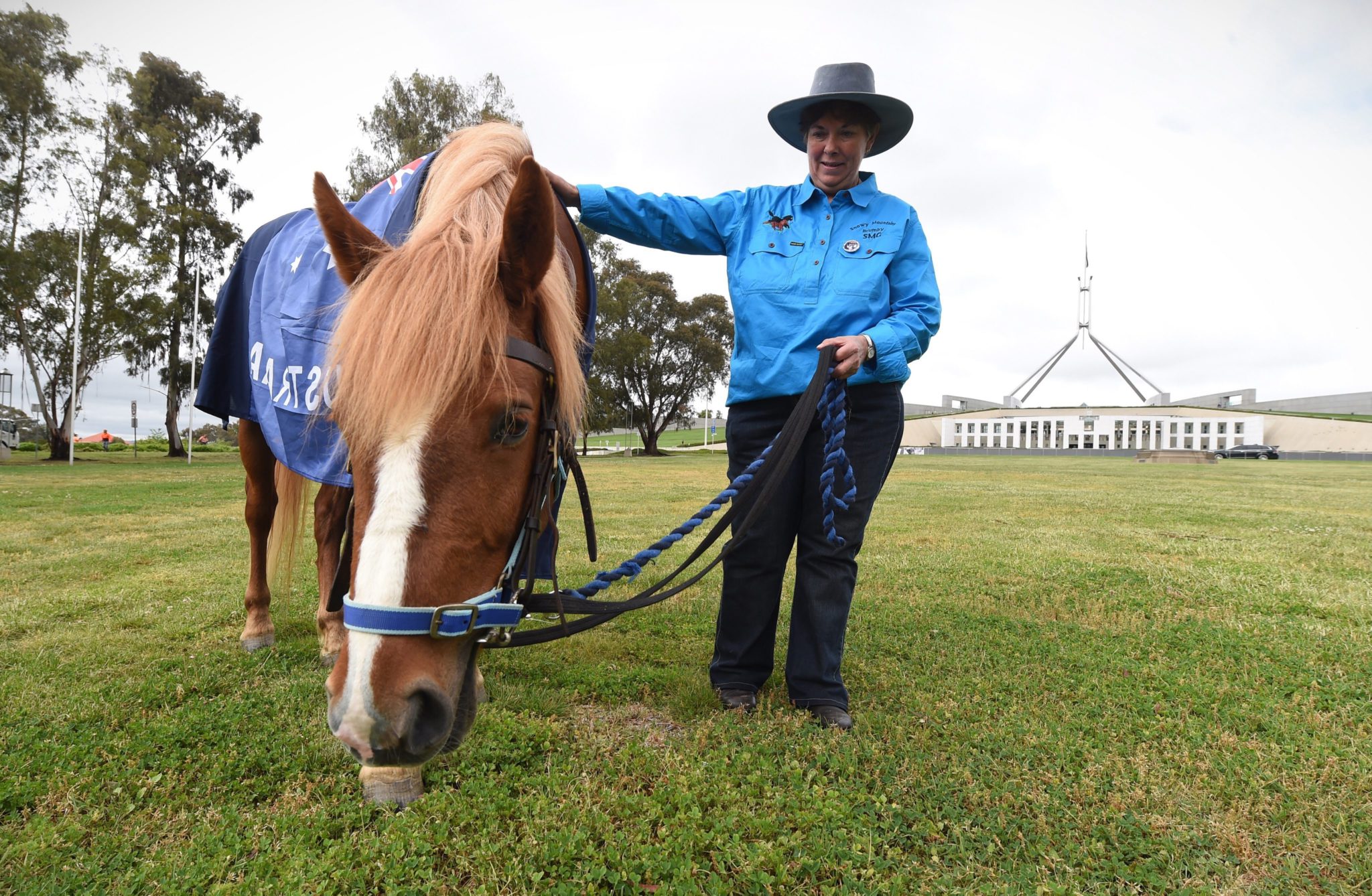 Australia: protest przeciwko selekcji dzikich koni (foto. PAP/EPA/LUKAS COCH)