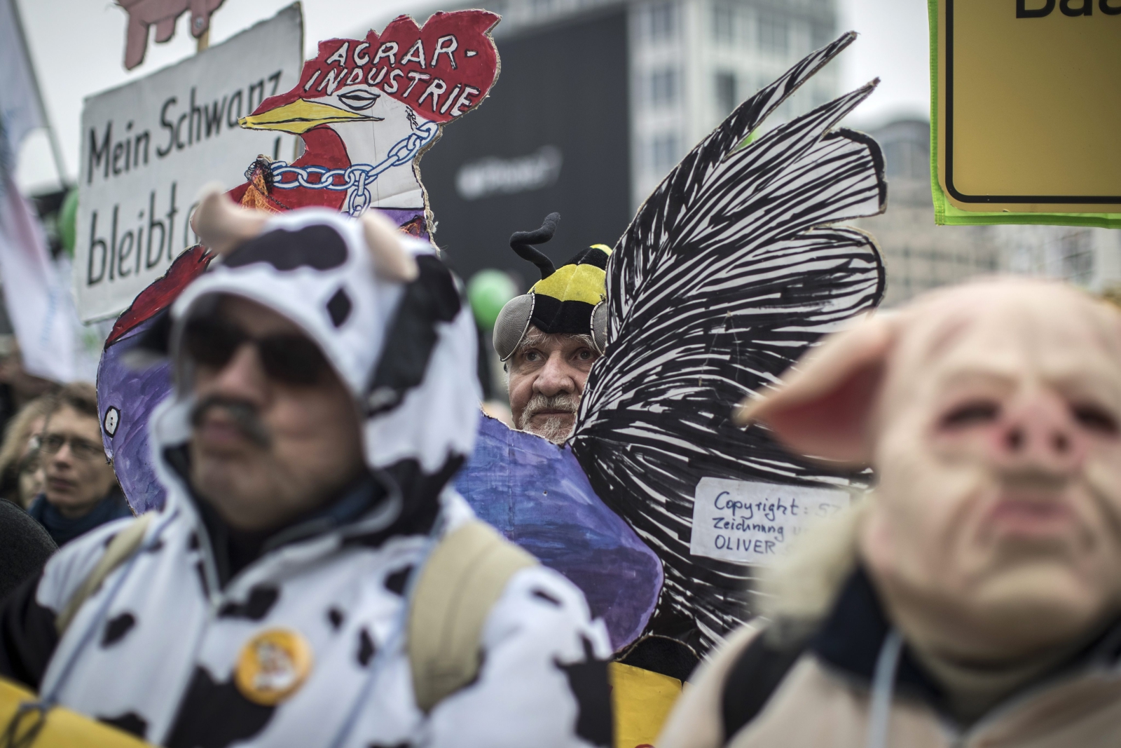 Protest rolników w Berlinie. 
Fot. PAP/EPA/OLIVER WEIKEN