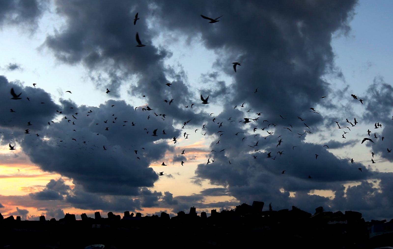 Mewy latające nad Strefą Gazy w czasie zachodu słońca. PAP/EPA/MOHAMMED SABER