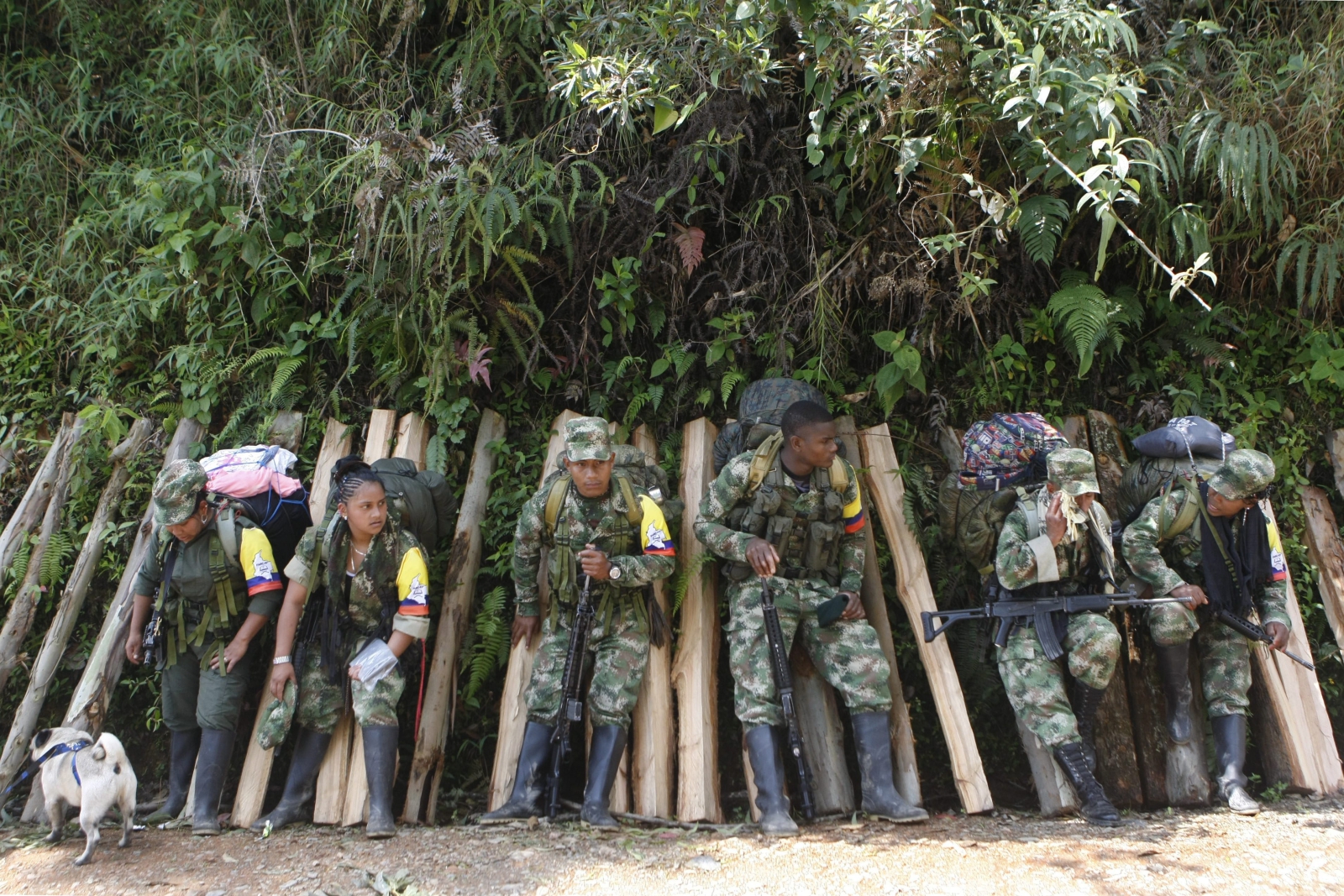 Członkowie FARC stawiają się w przejściowych strefach normalizacyjnych. Fot. PAP/EPA/Christian Escobar Mora