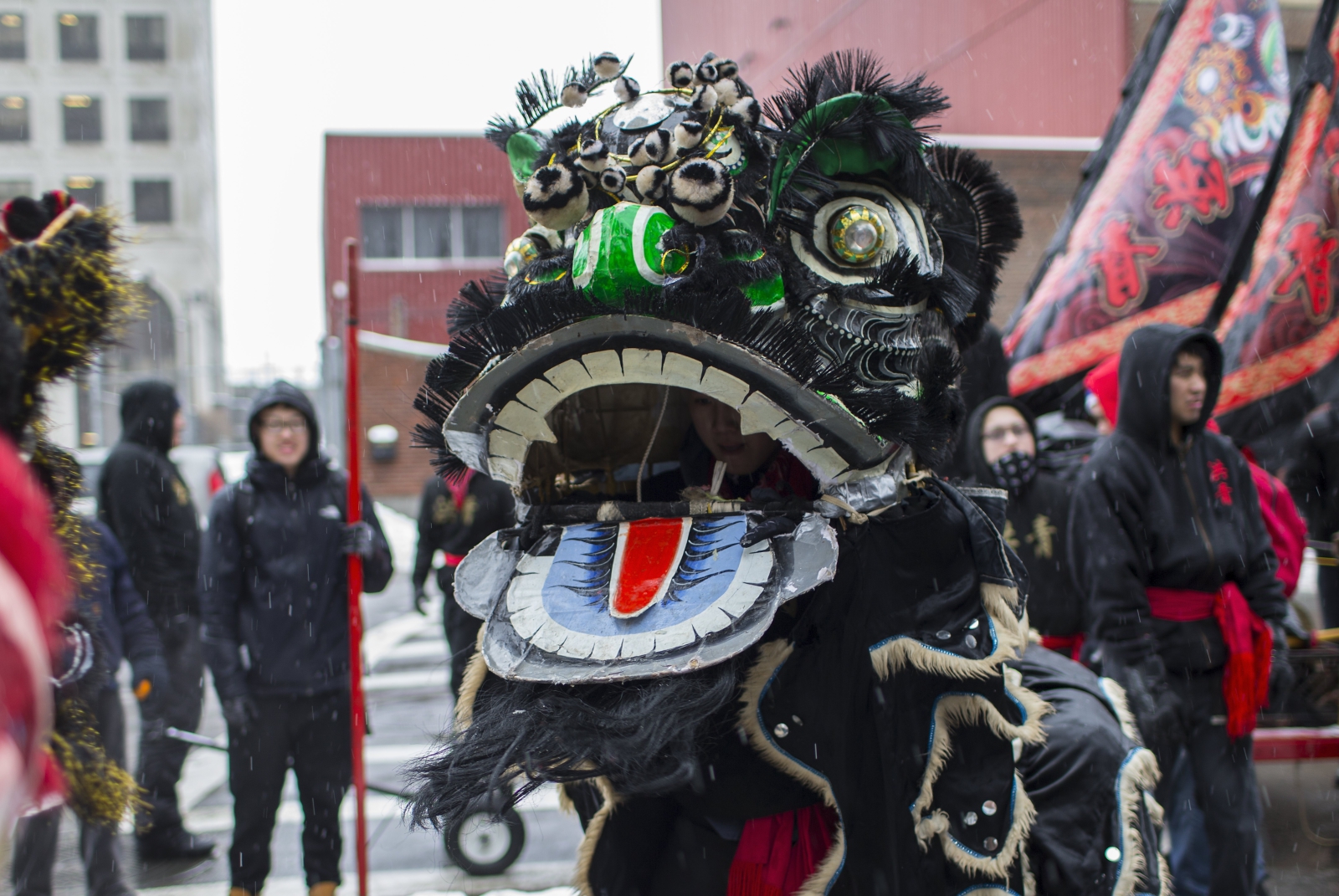 Trwa świętowanie chińskiego nowego roku. Tancerz przebrany za lwa występuje na ulicach Chinatown w Bostonie, Massachusetts, USA.