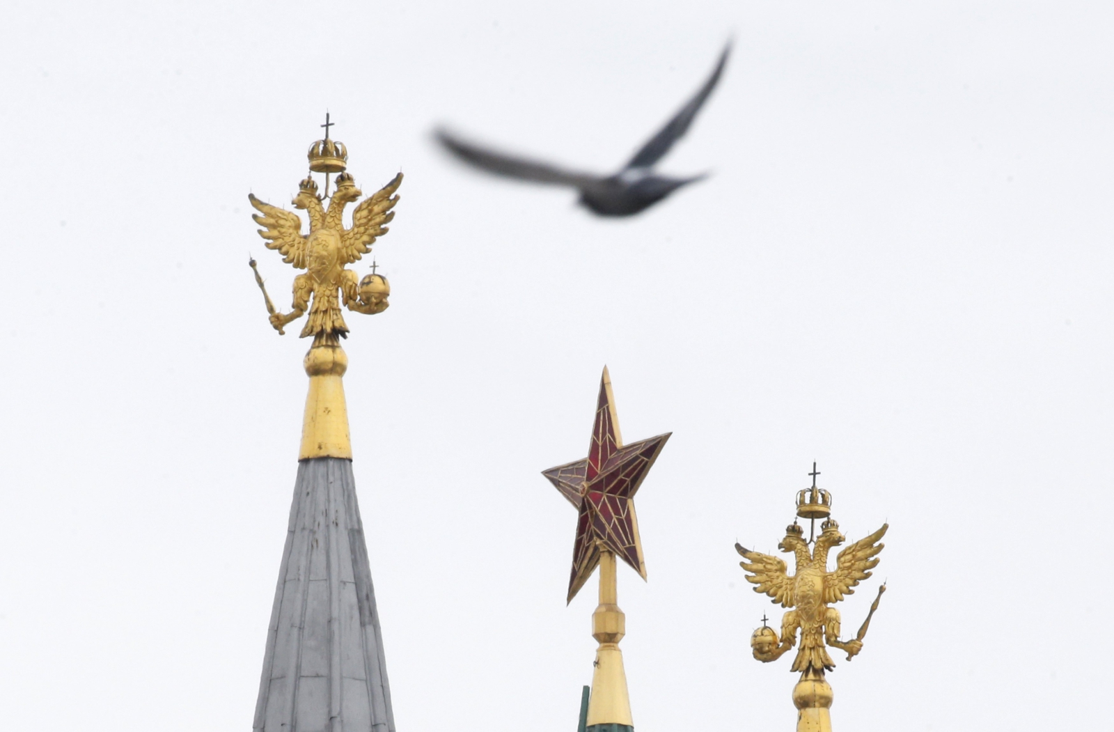 Ptak przelatuje niedaleko wież Kremla.