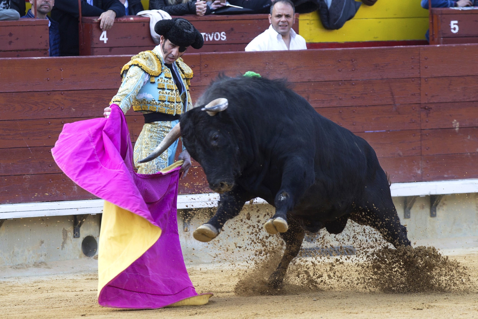 Hiszpański torreador Juan Jose Padilla w czasie walki z bykiem.