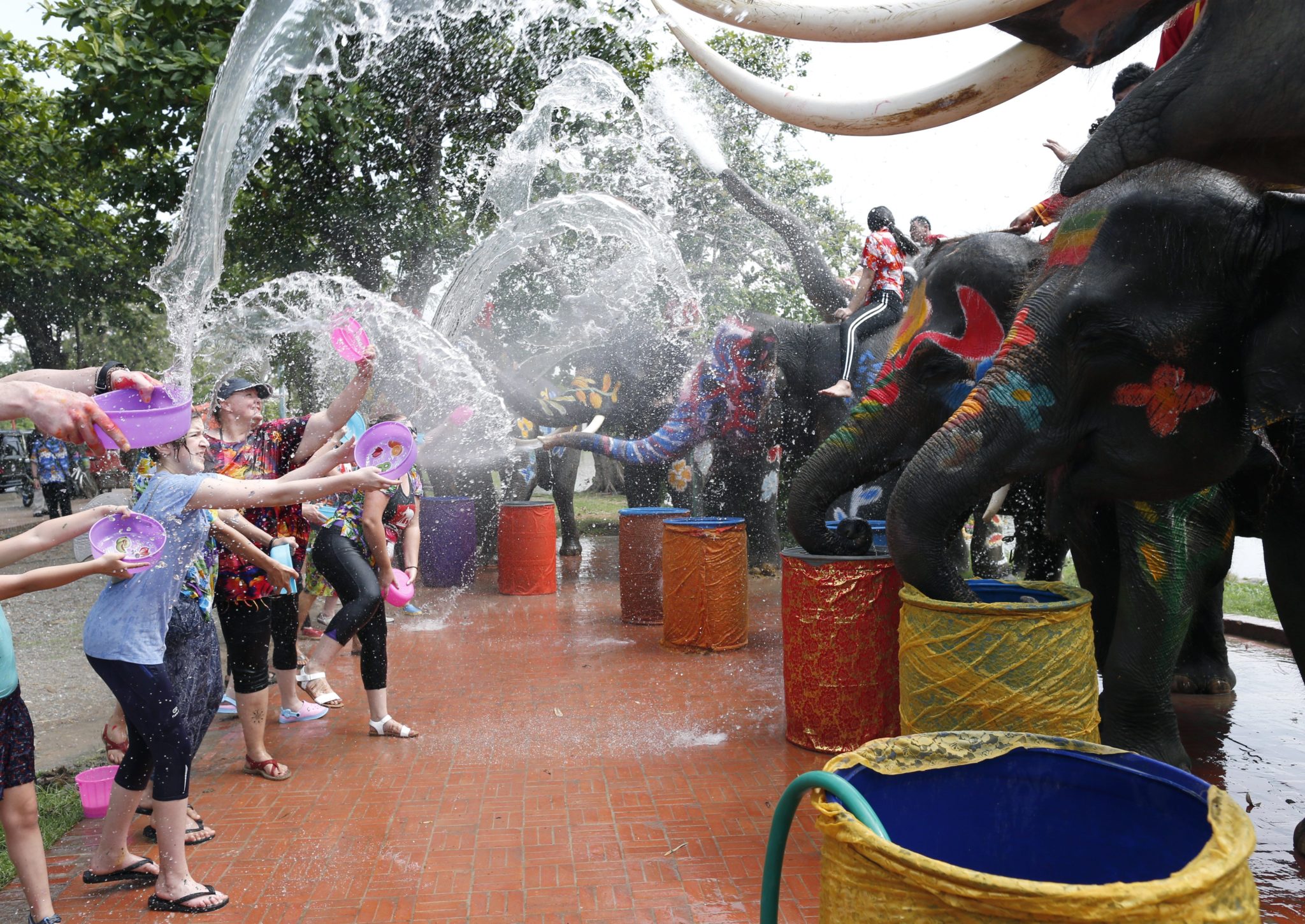 Tajlandia: festiwal słoni (foto. PAP/EPA/RUNGROJ YONGRIT)