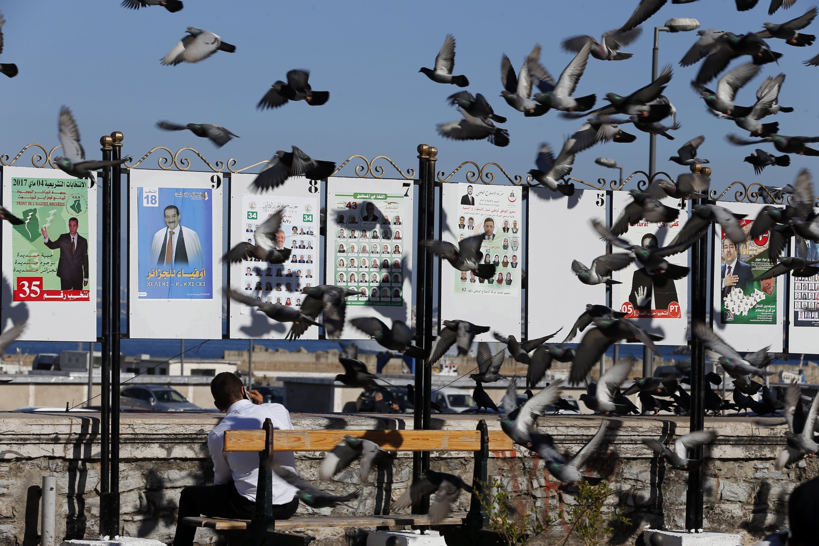 Gołębie na tle plakatów wyborczych w Algierii.
