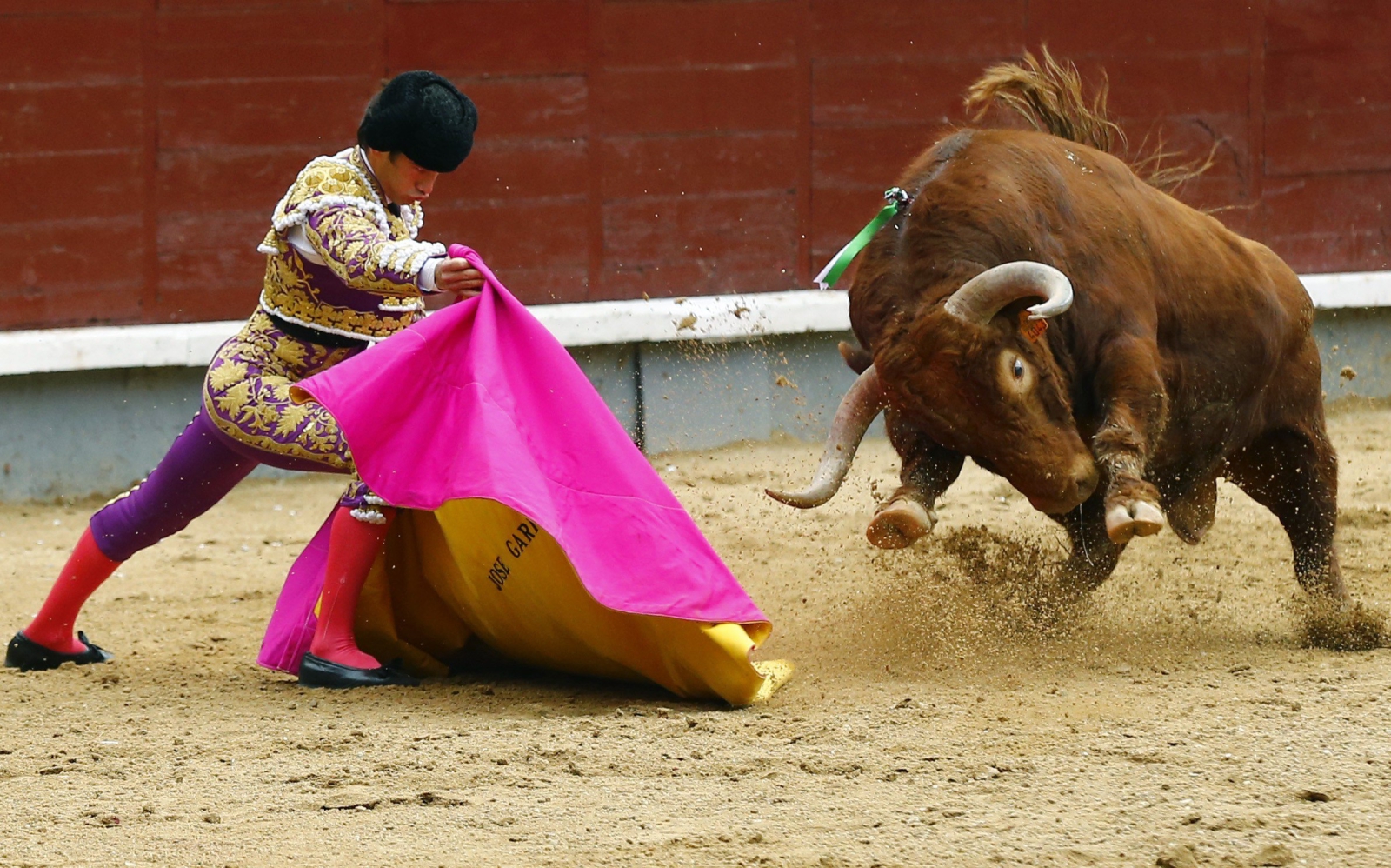 Hiszpański torreador Jose Garrido w trakcie swojej walki z bykiem, Madryt, Hiszpania.