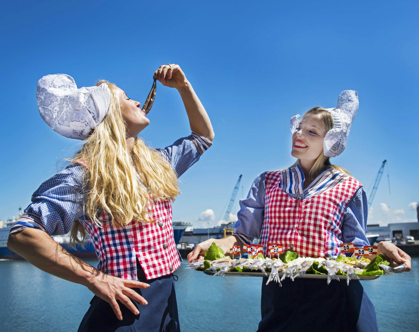 Holenderki, jedzące narodowy przysmak - tradycyjne śledzie.