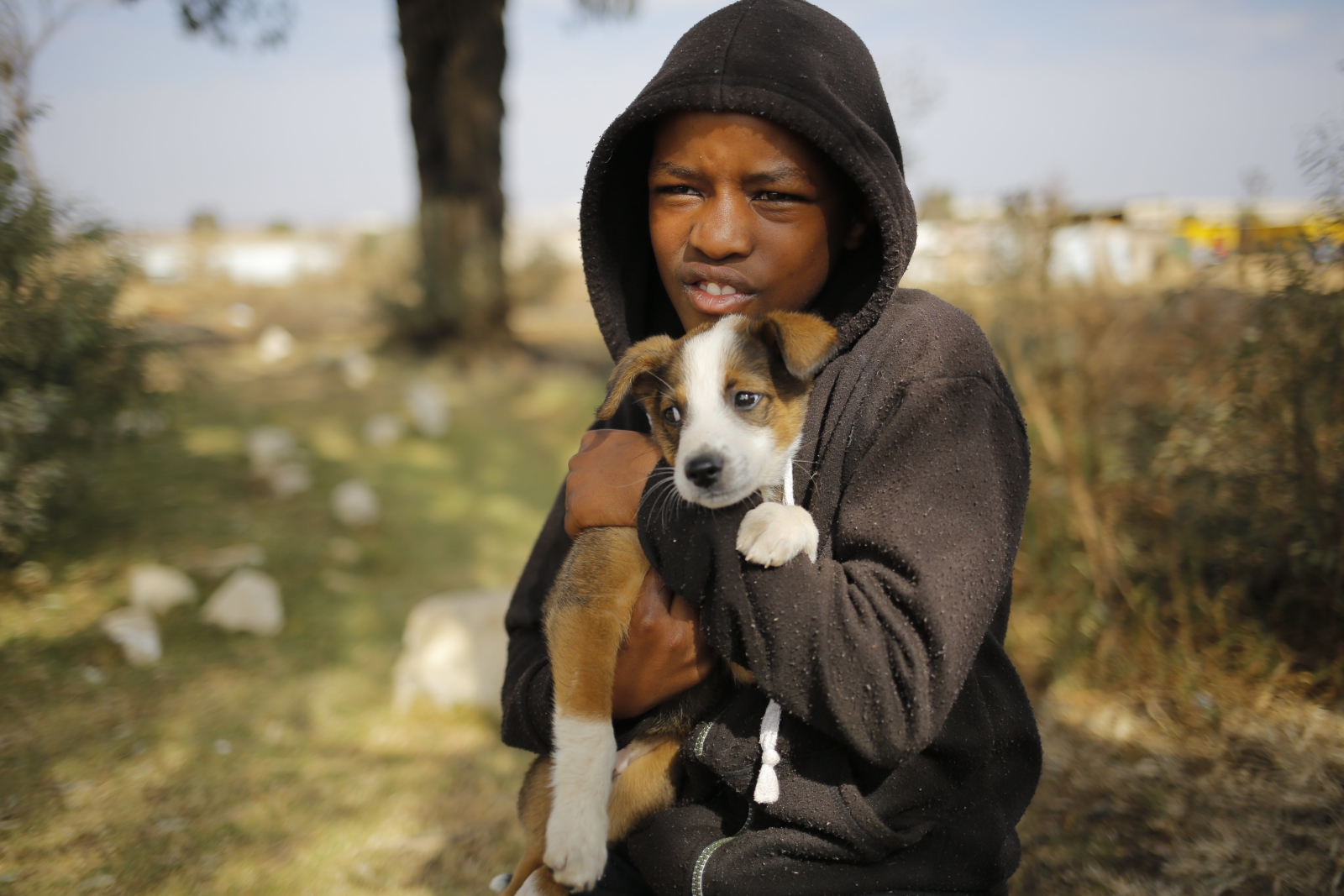 Dziecko dumnie trzyma psa, Johannesburg, Republika Południowej Afryki.