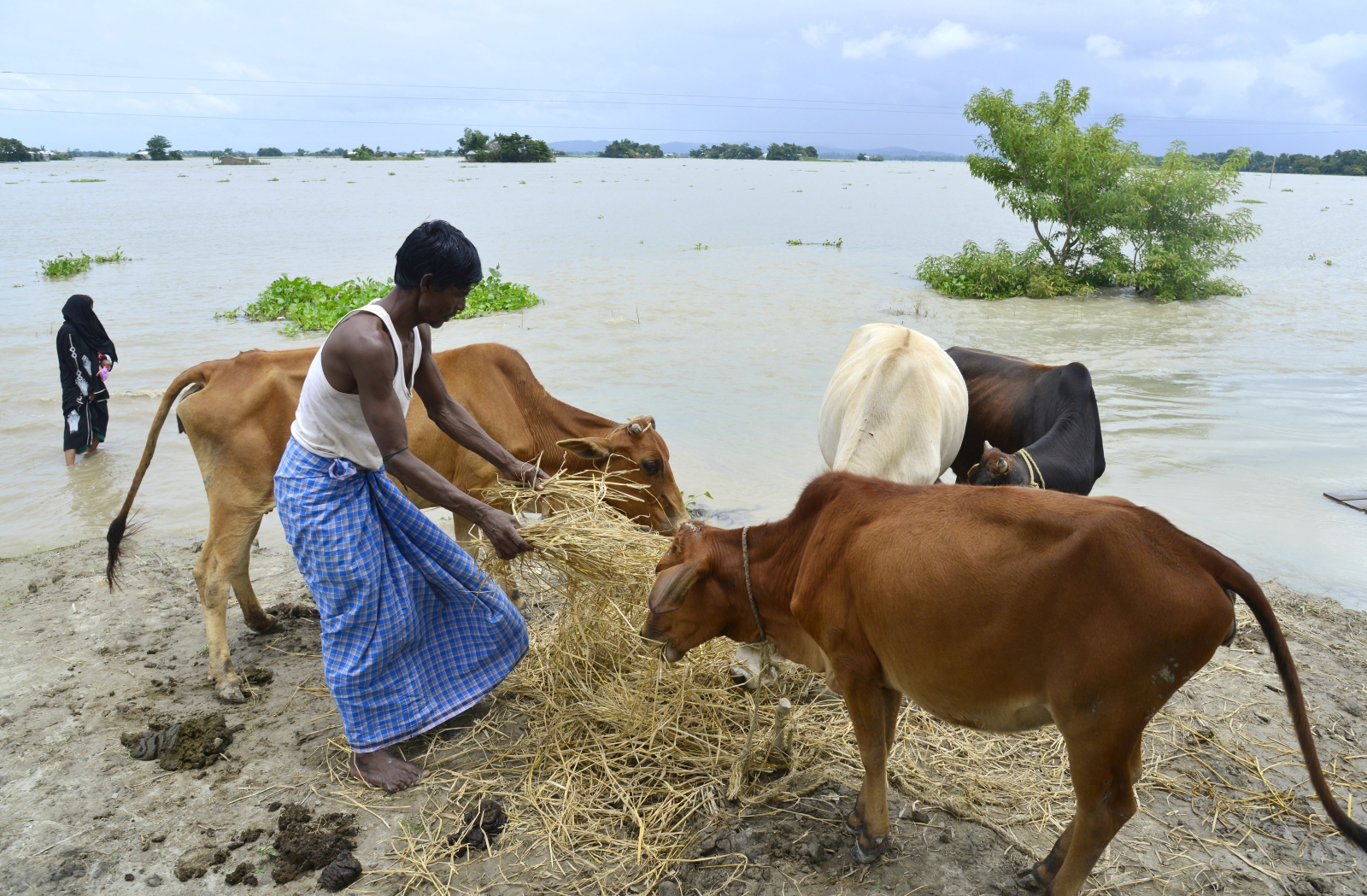 Powódż w indyjskim stanie Asam. Fot. EPA/STR 
Dostawca: PAP/EPA.