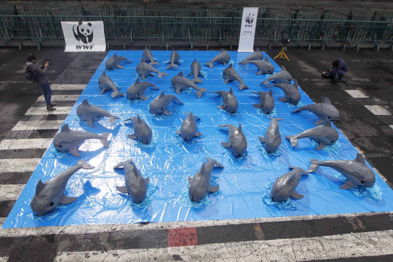 Instalacja na Międzynarodowy Dzień Ratowania Morświnów.