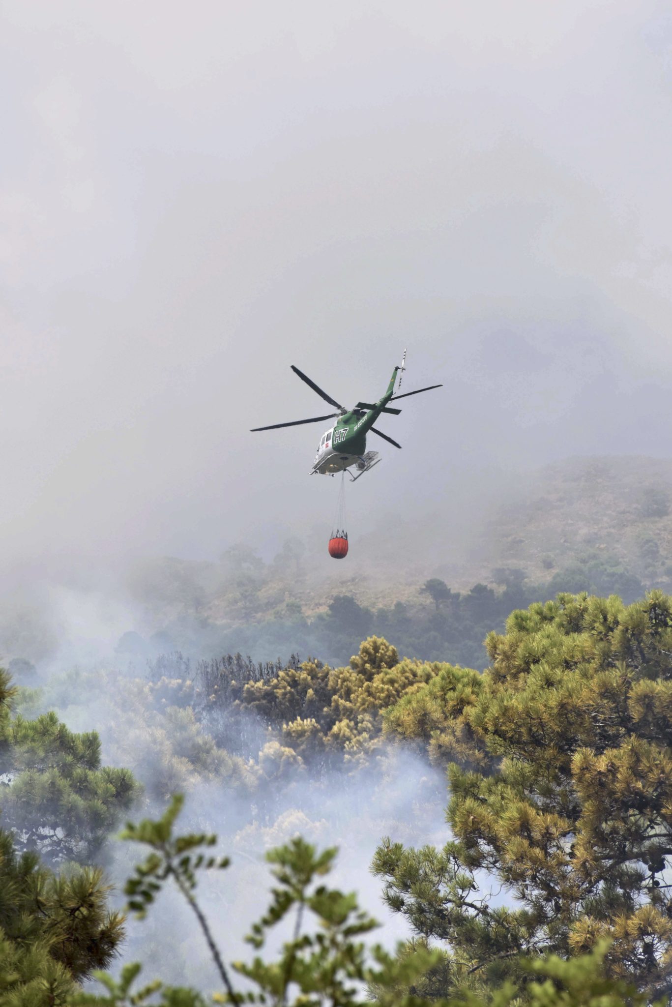 Hiszpania, pożary w okolicach Marbelli, fot: PAP/EPA