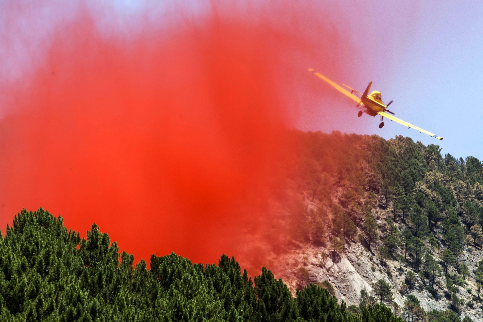 Gaszenie pożaru w rezerwacie przyrody w pobliży Yestat, w centralnej Hiszpanii EPA/MARCIAL GUILLEN 
