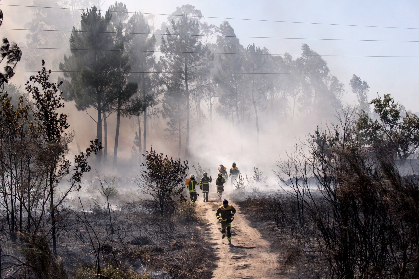 Pożary lasów w Hiszpanii  EPA/Brais Lorenzo 
