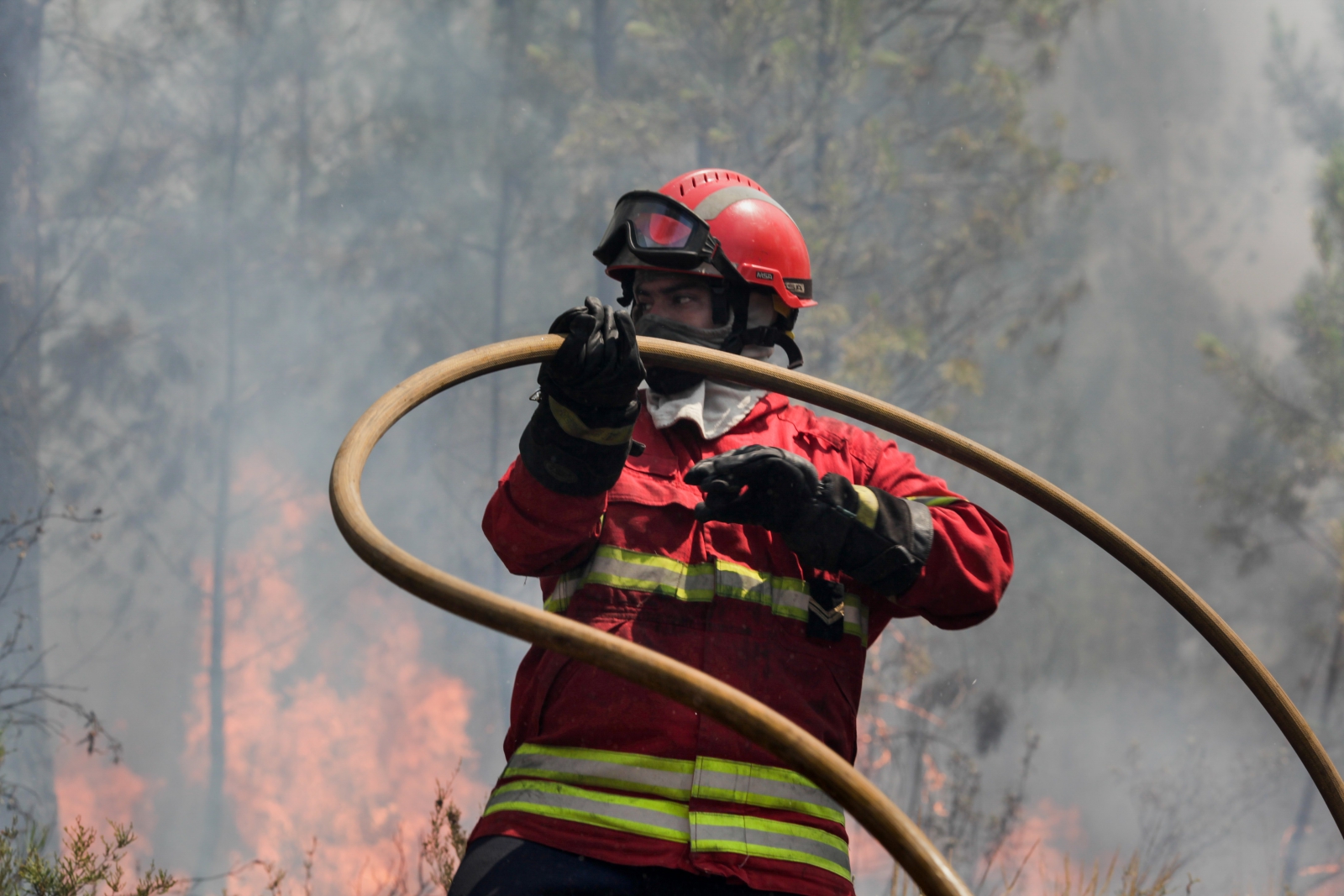 Pożary w Portugalii. fot. EPA/PAULO CUNHA 