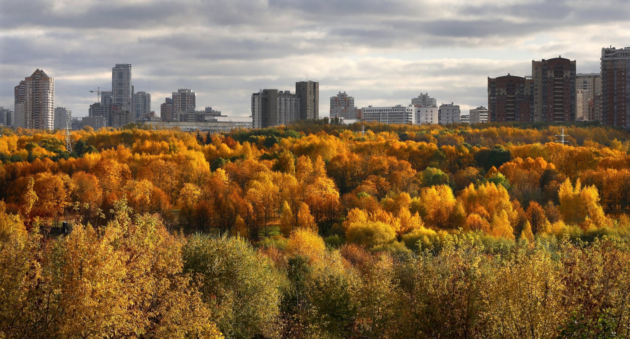 Park niedaleko centrum Moskwy, fot: Yuri Kochetkov, PAP/ EPA  