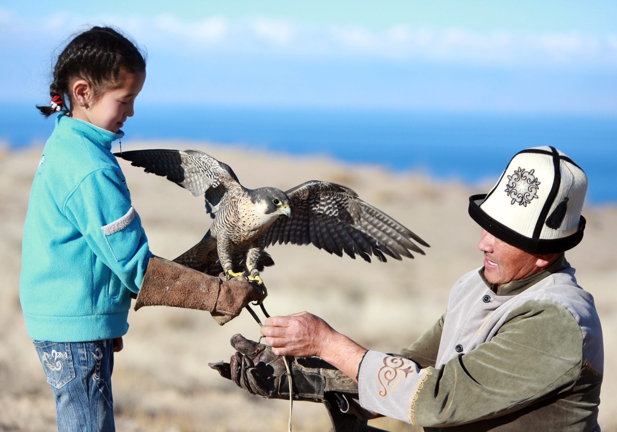 Kirgiski łowca ptaków trzyma złotego orła na ramieniu. Mężczyzna uczył się polowania na ptaki od 10-tego roku życia. Jest właścicielem orła przedniego i młodego sokoła. Polowanie na orły i sokoły to stara kirgiska tradycja, fot: Igor Kovalenko, PAP/EPA 