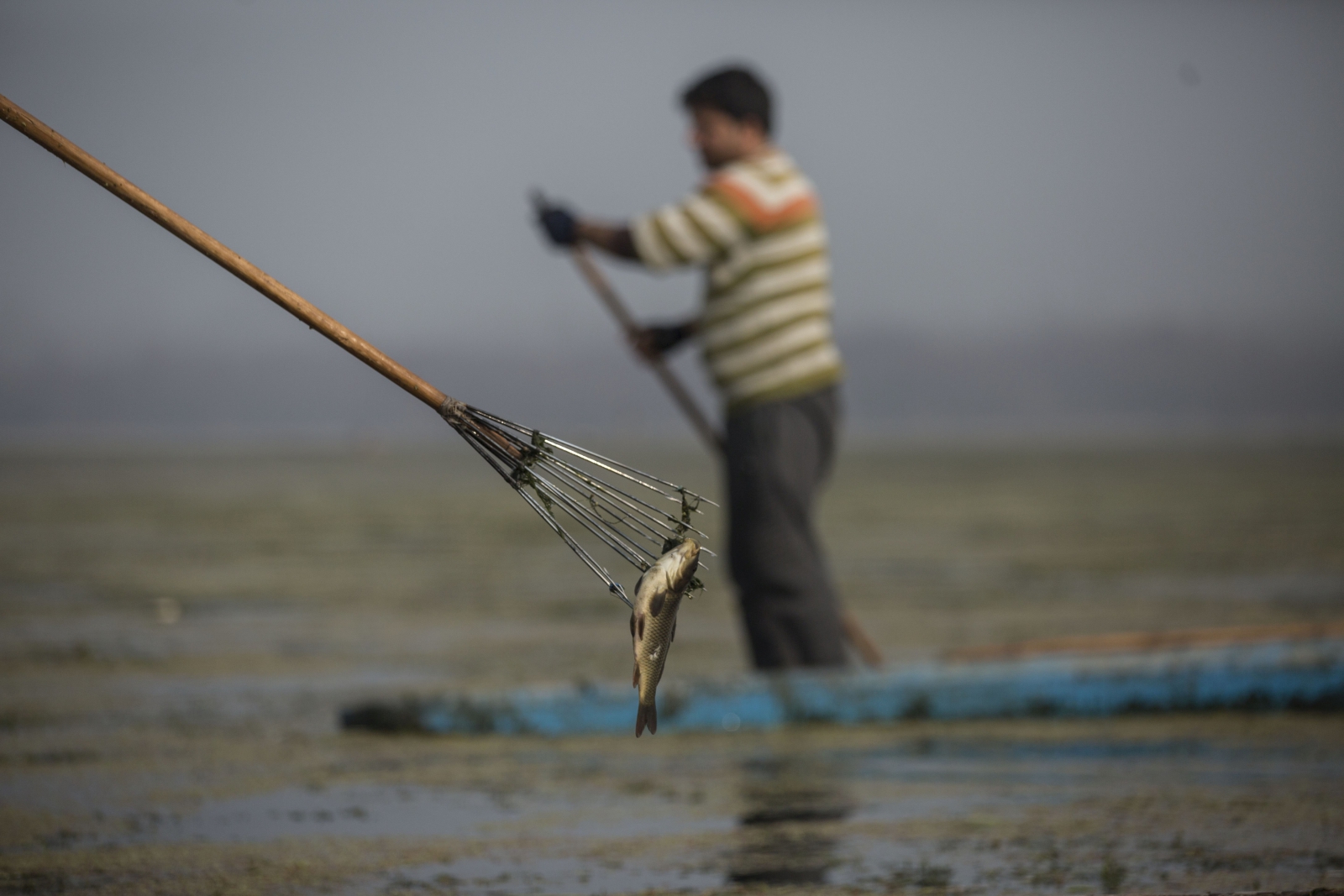 Rybacy w Kaszmirze, Indie
