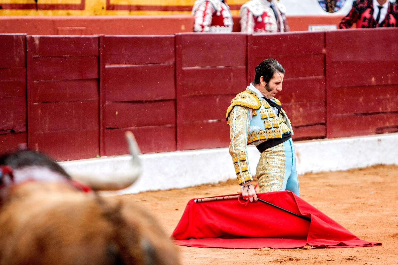  Hiszpański torreador podczas walki byków organizowanej z okazji tradycyjnego Targu Byków w Olivenza w południowej Hiszpanii, fot. EPA/OTO 