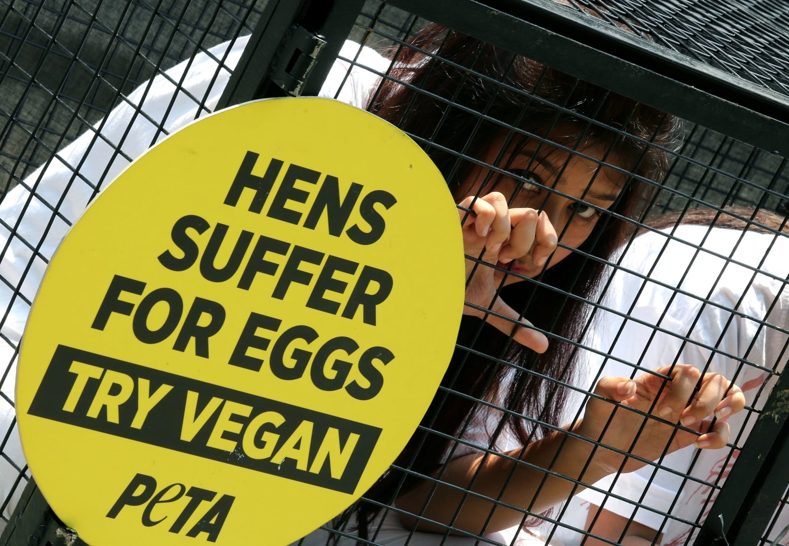 Protest przeciwko przemysłowi jaj w Bangalore, w Indiach, fot. EPA/JAGADEESH NV 
