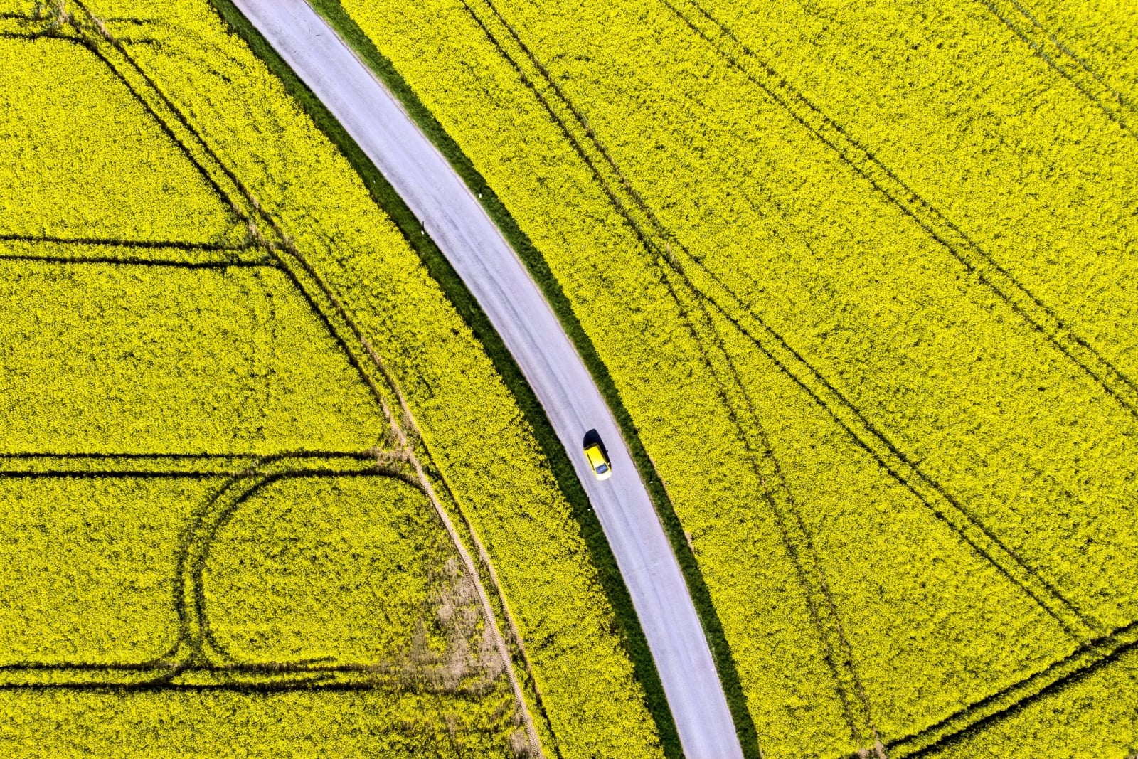 epaselect epa06696509 An aerial view taken with a drone shows a car drives on the road next to rapeseed fields with bright-yellow flowers during a sunny and warm weather spring day, in Daillens, Switzerland, 27 April 2018.  EPA/LAURENT GILLIERON 
Dostawca: PAP/EPA.