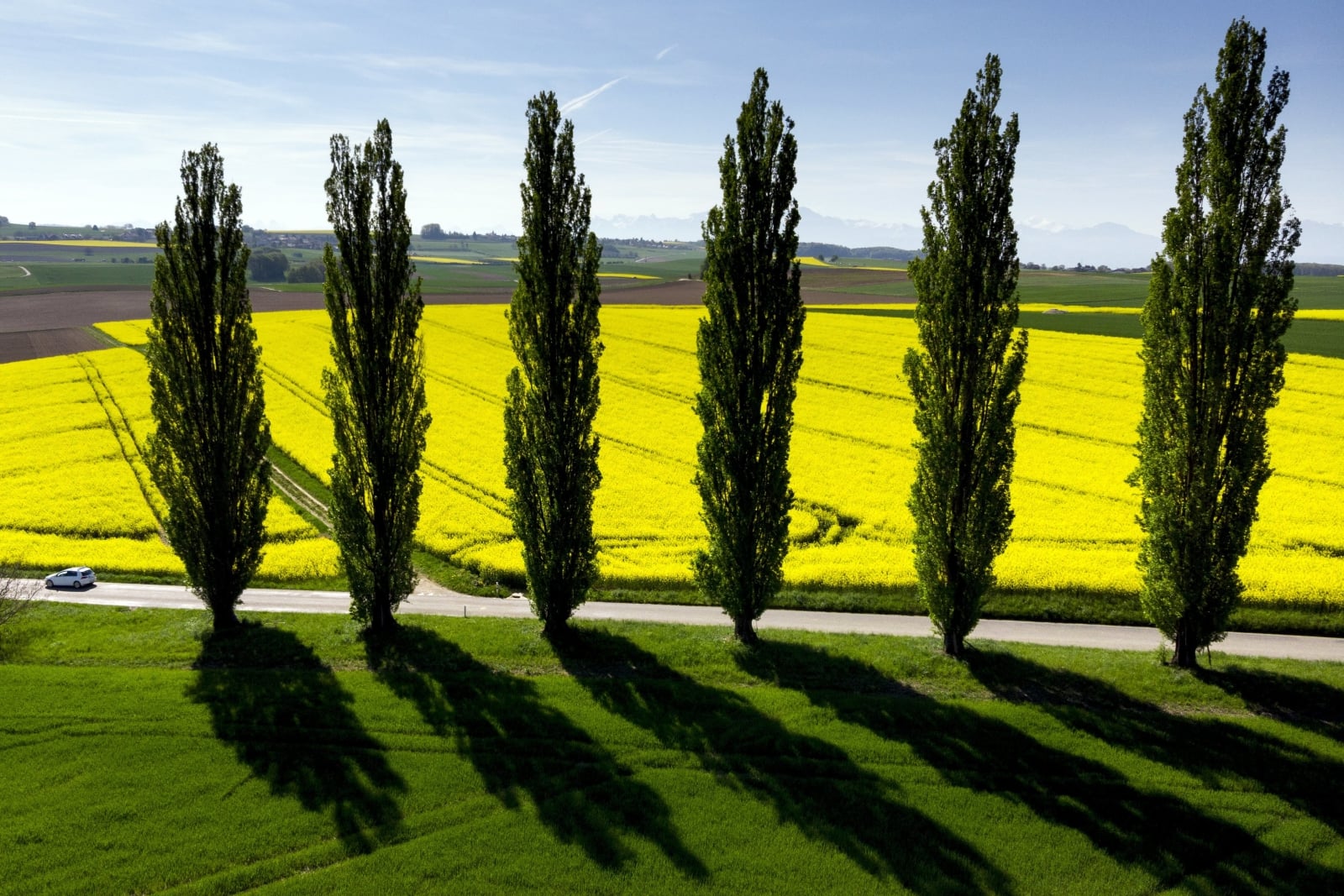 epa06696511 An aerial view taken with a drone shows a car drives on the road next to poplars and rapeseed field with bright-yellow flowers during a sunny and warm weather spring day, in Daillens, Switzerland, 27 April 2018.  EPA/LAURENT GILLIERON 
Dostawca: PAP/EPA.