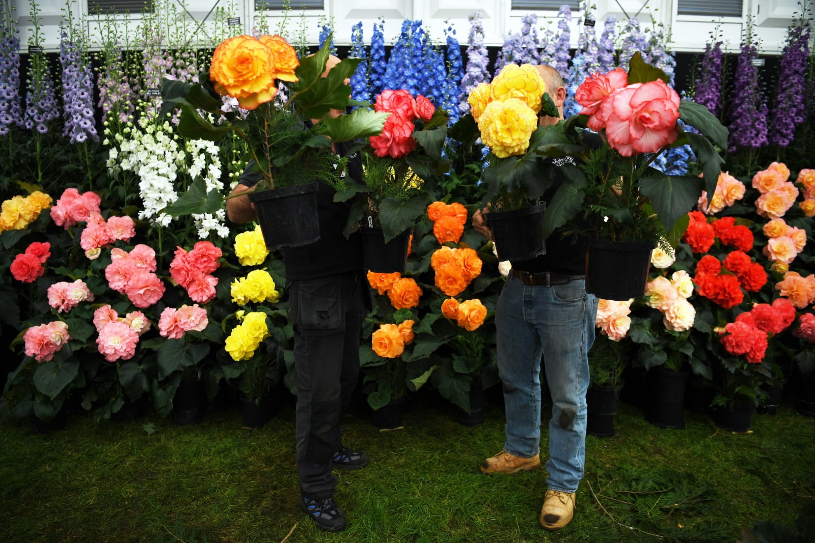 Przygotowania do wystawy ogrodowej Chelsea Flower Show w Londynie, Wielka Brytania, fot. EPA/NEIL 