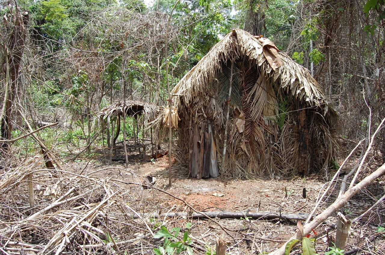 Amazońscy tubylcy fot. EPA/FUNAI 