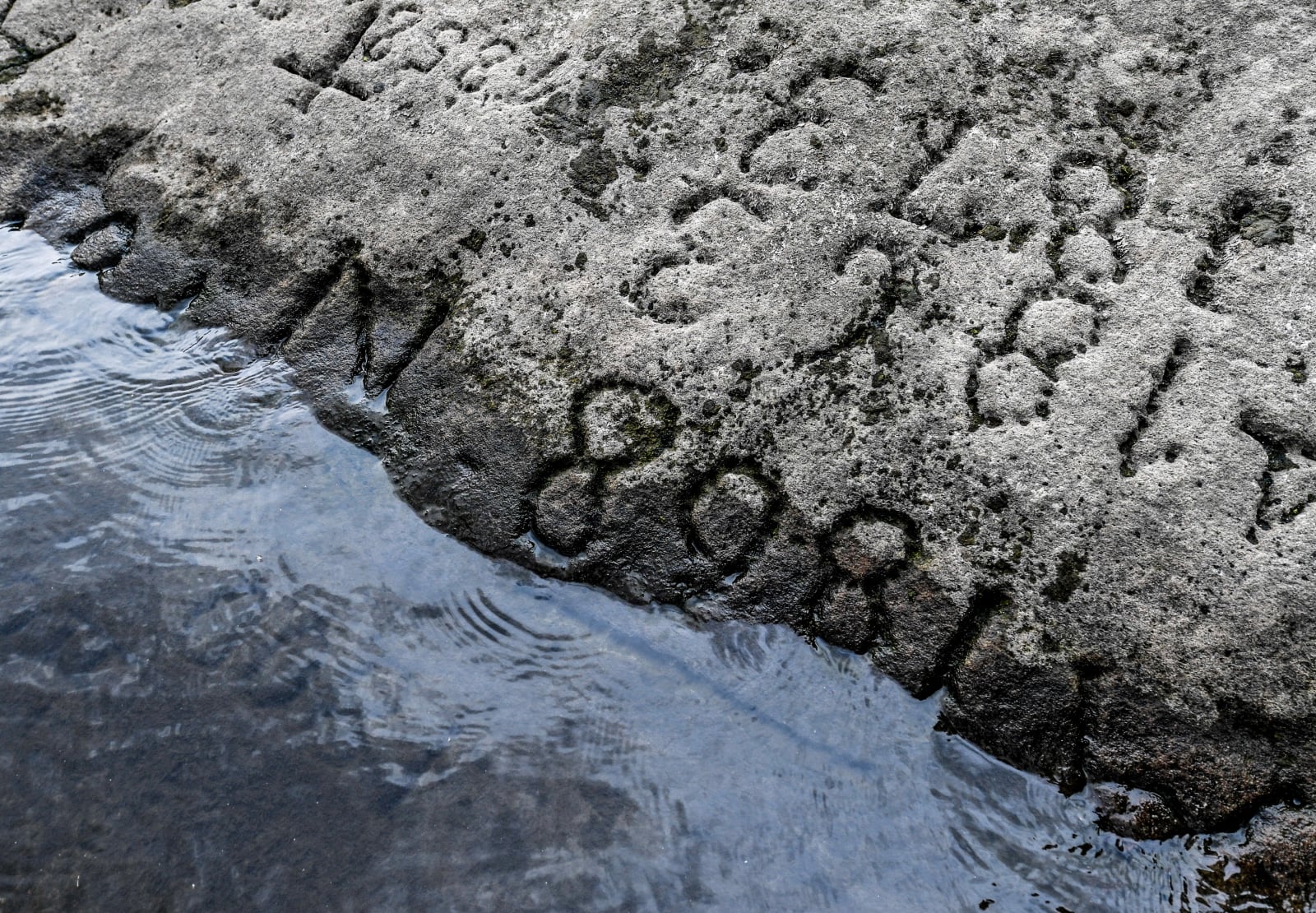 We wschodnich Niemczech odkryto dzisiaj starożytne napisy. Archeolodzy są w trakcie badań.