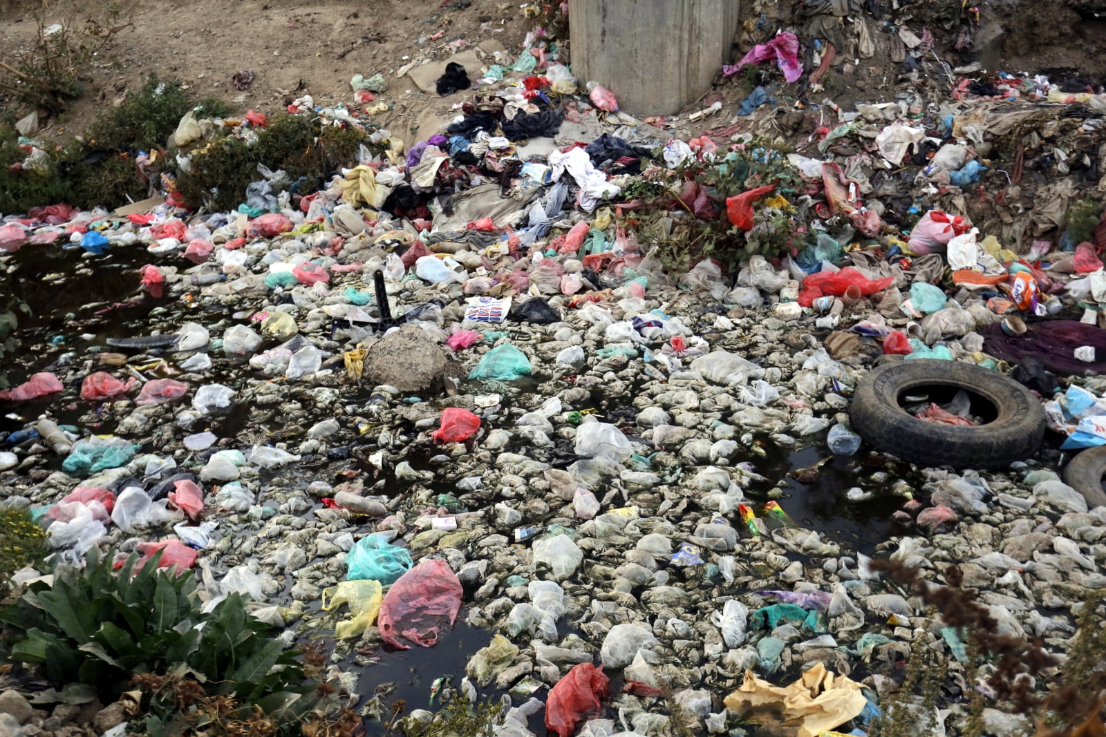Zanieczyszczenie środowiska powoduje rozprzestrzenianie się cholery w Jemenie. Fot. PAP/EPA/YAHYA ARHAB