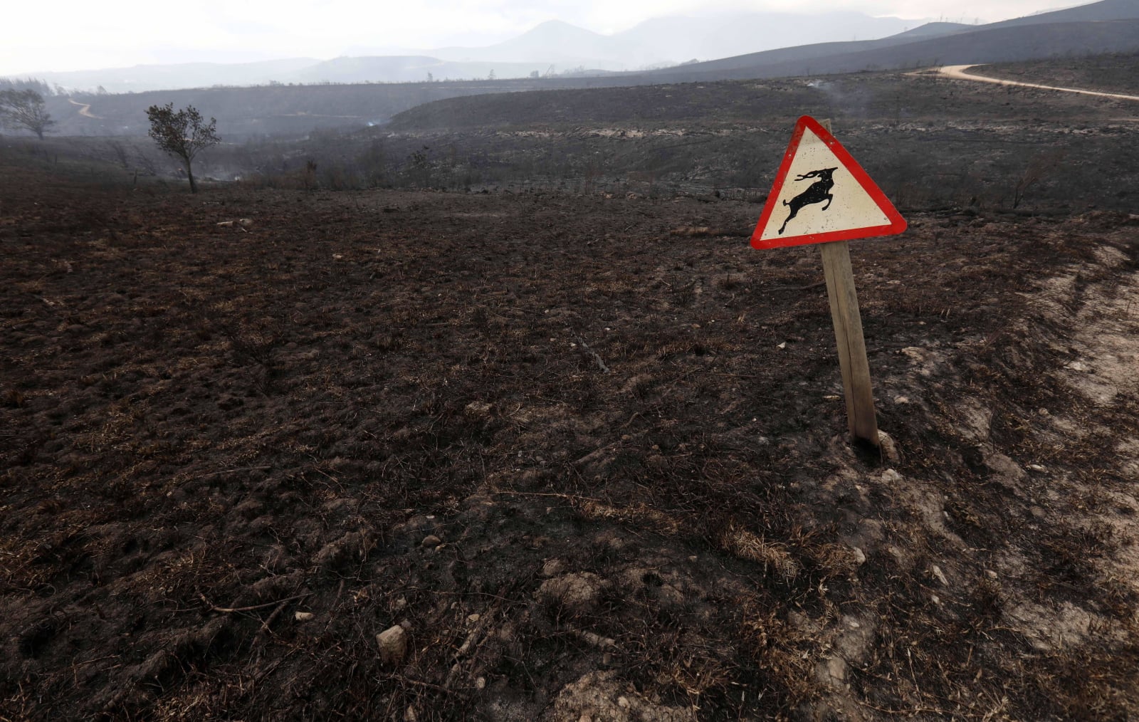 Zniszczenia po pożarach w południowej Afryce