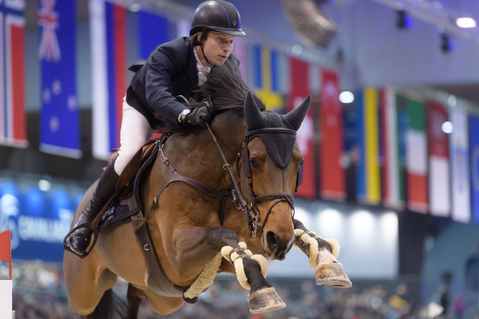 Grand Prix jedzieckiej Cavaliady CSI-W4* w Poznaniu fot. PAP/Jakub Kaczmarczyk