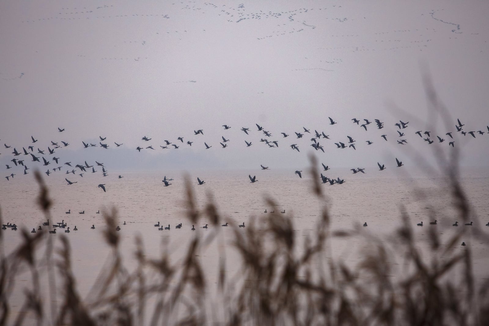 Pogoda na Węgrzech fot. EPA/Gyorgy Varga HUNGARY OUT 
