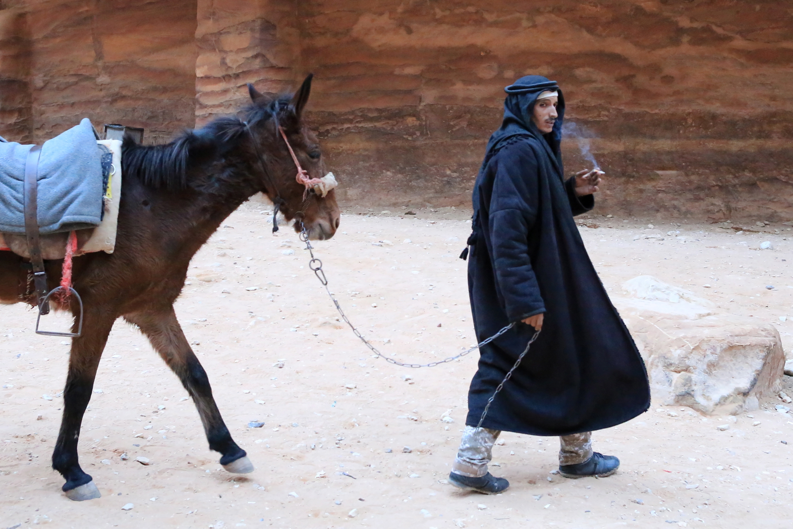 Beduiński przewodnik prowadzi konia w Petrze, Jordania. Fot. PAP/EPA/ANDRE PAIN