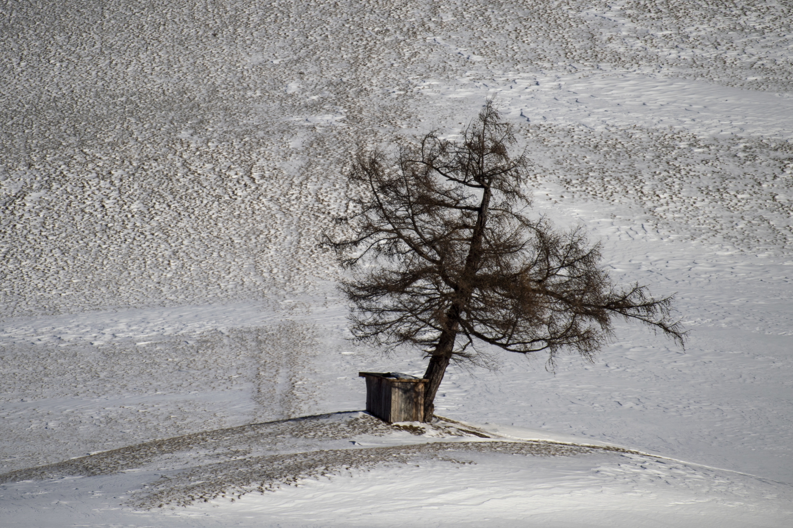 Zima w Austrii. Fot. PAP/EPA/CHRISTIAN BRUNA