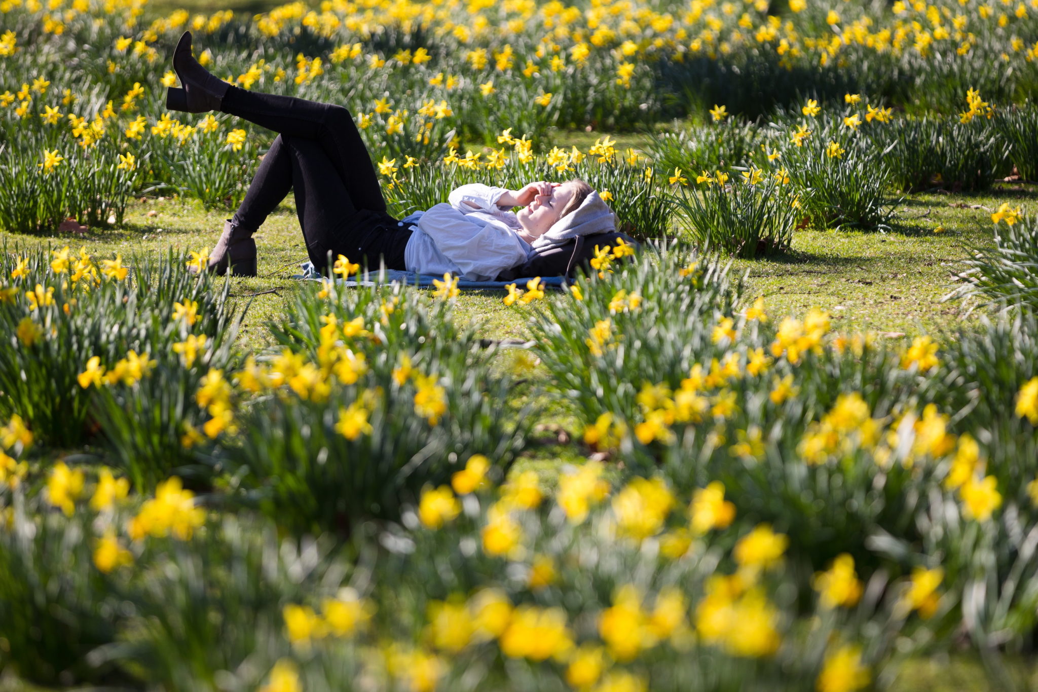 Wielka Brytania: słoneczny dzień w Londynie. Na zdjęciu park w centrum miasta - St James's Park. To najgorętszy dzień zimy w historii pomiarów temperatury. Słupki sięgnęły ponad 20 stopni Celsjusza, fot. VICKIE FLORES, PAP/EPA.