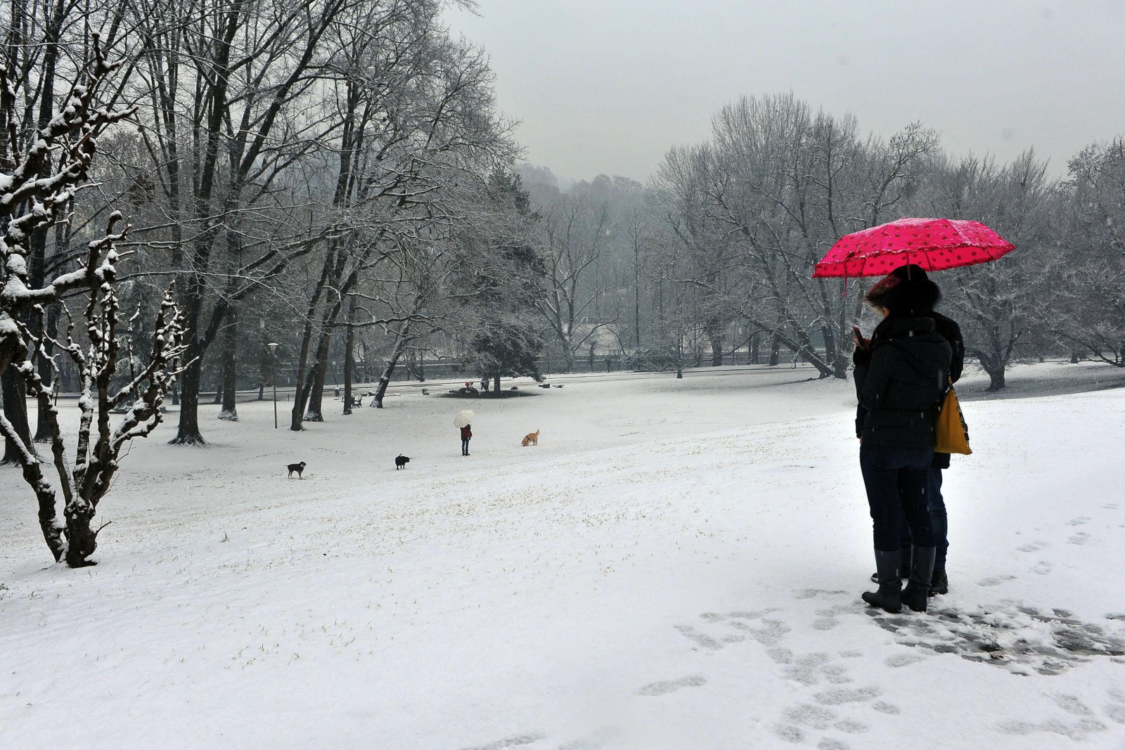 Zima w Turynie. Fot. PAP/EPA/ALESSANDRO DI MARCO