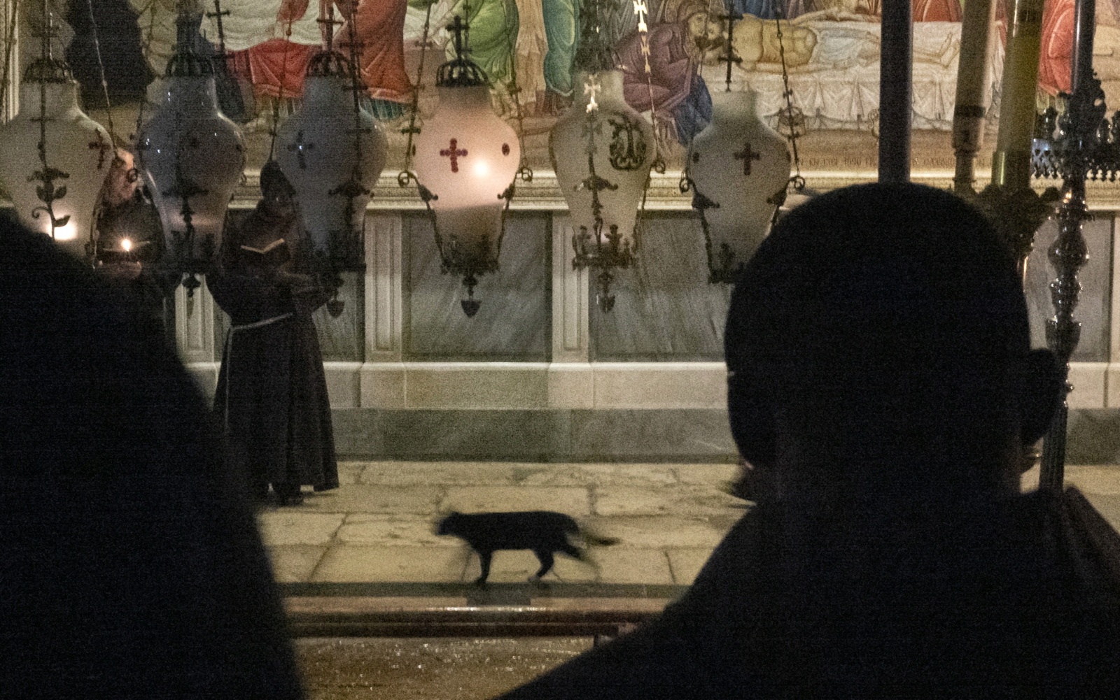 Kot przebiega przed procesją ze świecami, Jeruzalem. Fot. PAP/EPA/JIM HOLLANDER