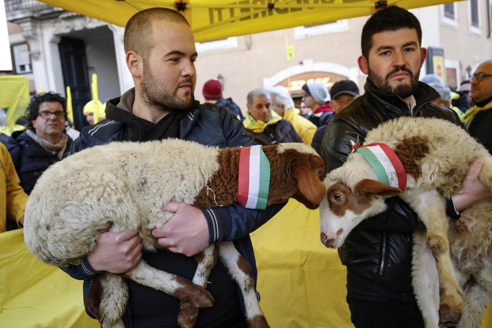 Protest rolników w Rzymie, Włochy. Fot. PAP/EPA/GIUSEPPE LAMI