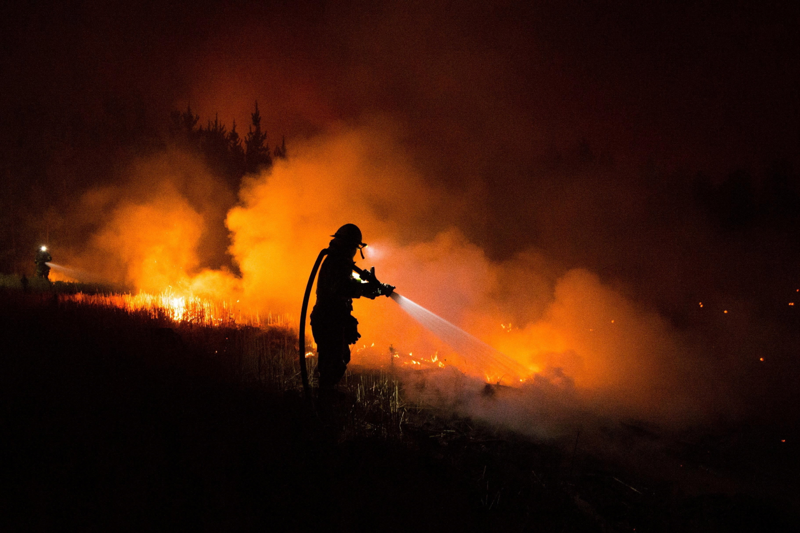 Strażacy walczą z wielkim pożarem w Chile. Fot. PAP/EPA/CAMILO TAPIA