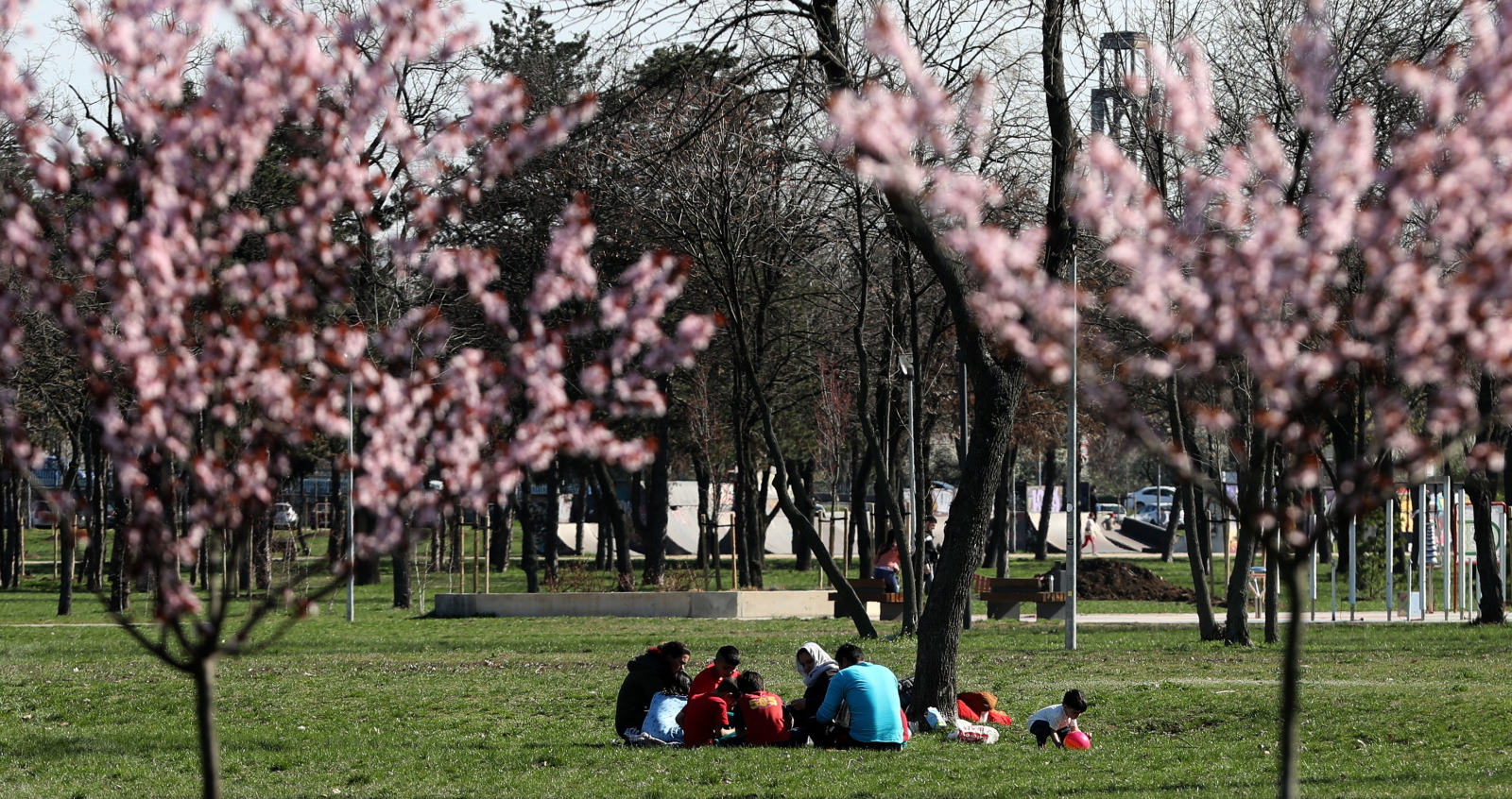 Wiosna w Serbii  EPA/KOCA SULEJMANOVIC 