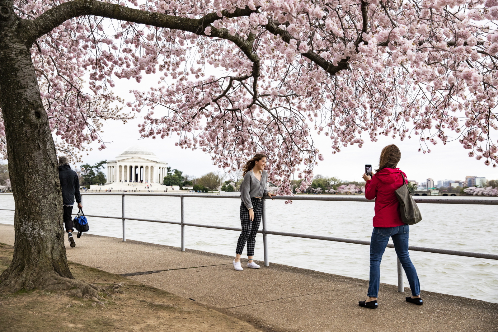 Wiosna w Waszyngtonie. Fot. PAP/EPA/SAMUEL CORUM