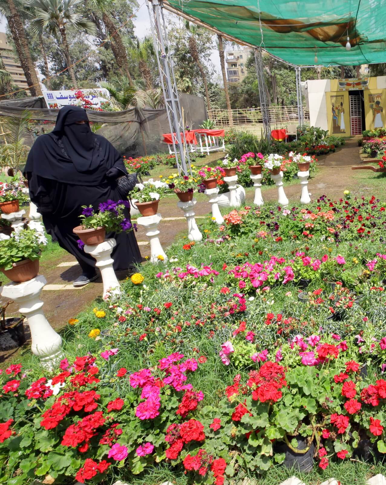 Festiwal kwiatów w Egipcie fot.  EPA/KHALED ELFIQI