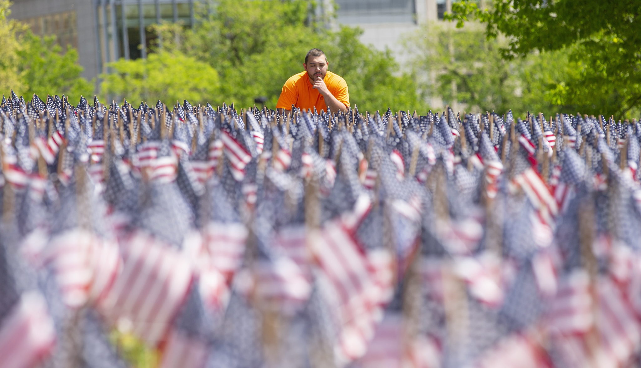 Każda z flag zasadzonych w pobliżu Pomnika Żołnierzy i Marynarzy na najstarszym w kraju publiczny park, reprezentuje członka służby Massachusetts, który oddał swoje życie w obronie Stanów Zjednoczonych od czasów wojny o niepodległość fot. CJ GUNTHER, EPA.