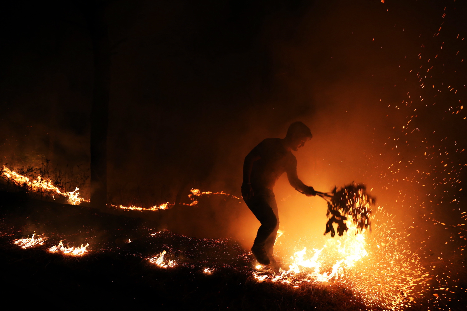 Pożar lasu w Indiach. Fot. PAP/EPA/SANJAY BAID