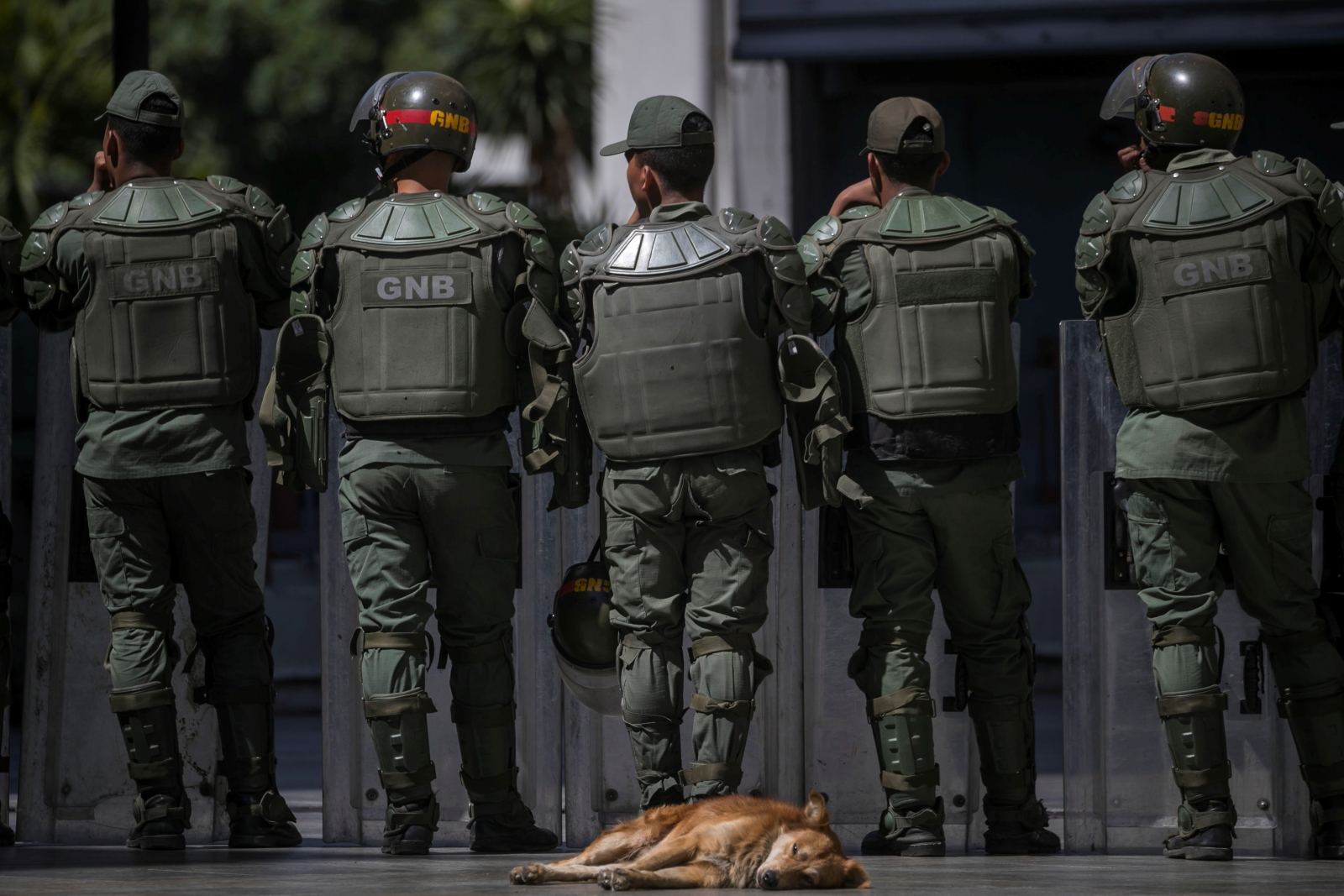 Kryzys w Wenezueli EPA/Miguel Gutierrez 
