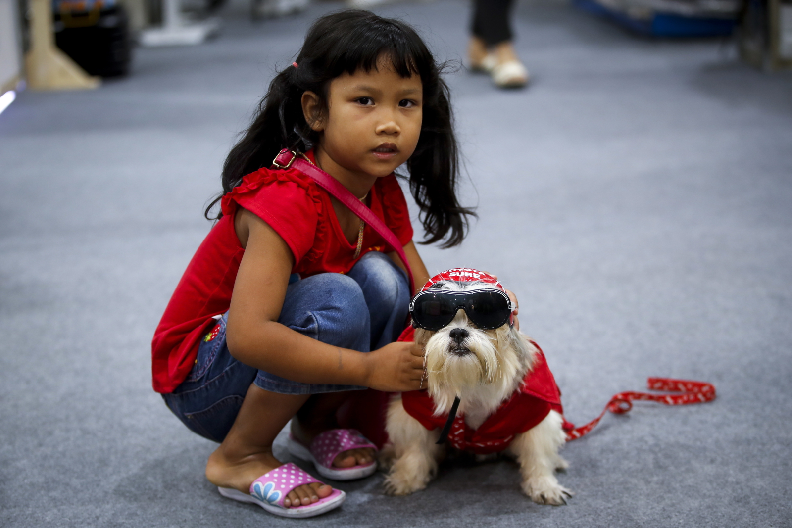 Targi Pet Expo w Bangkoku, Tajlandia. Fot. PAP/EPA/DIEGO AZUBEL