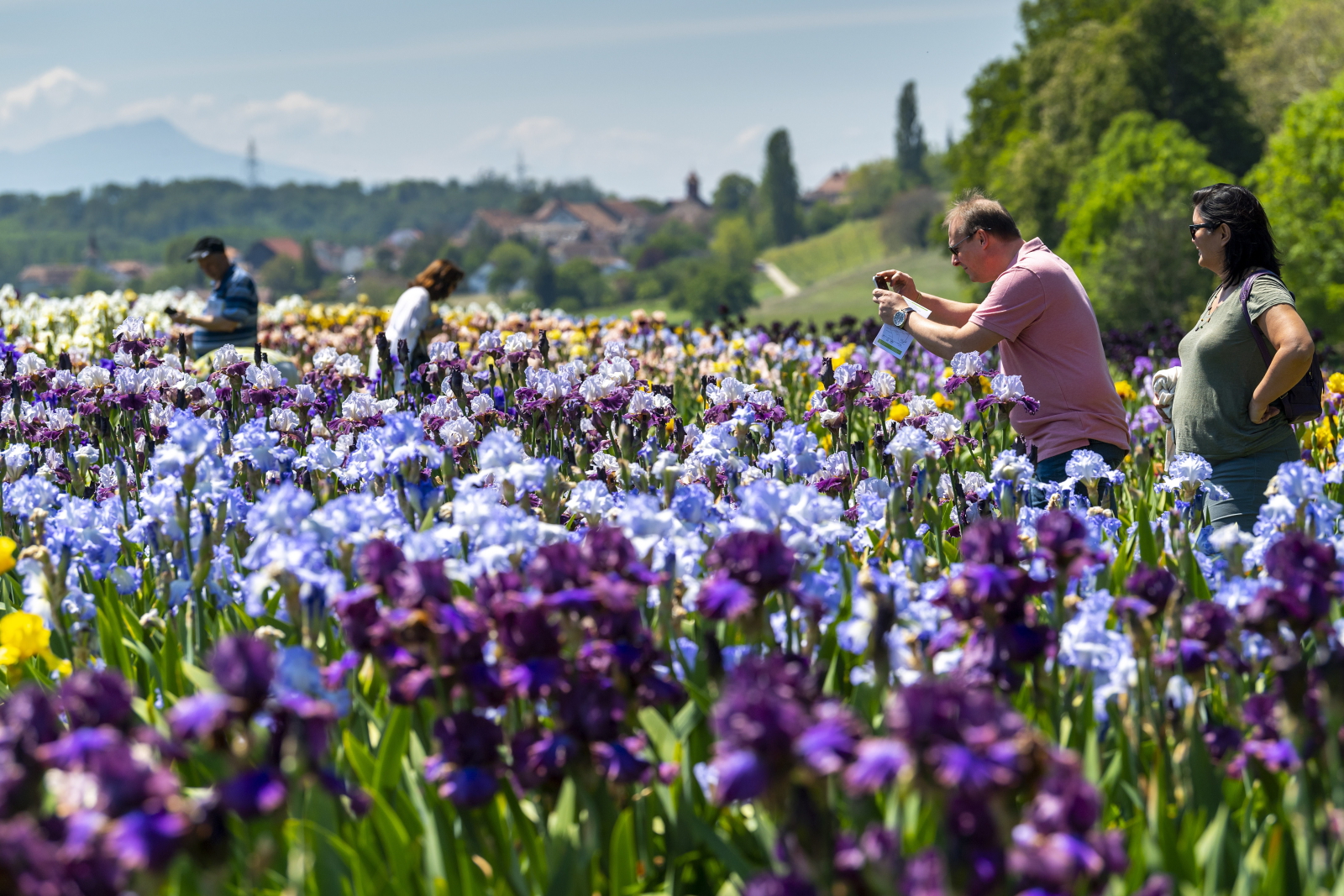 Flower Show w Vullierens-sur-Morges, Szwajcaria. Fot. PAP/EPA/MARTIAL TREZZINI