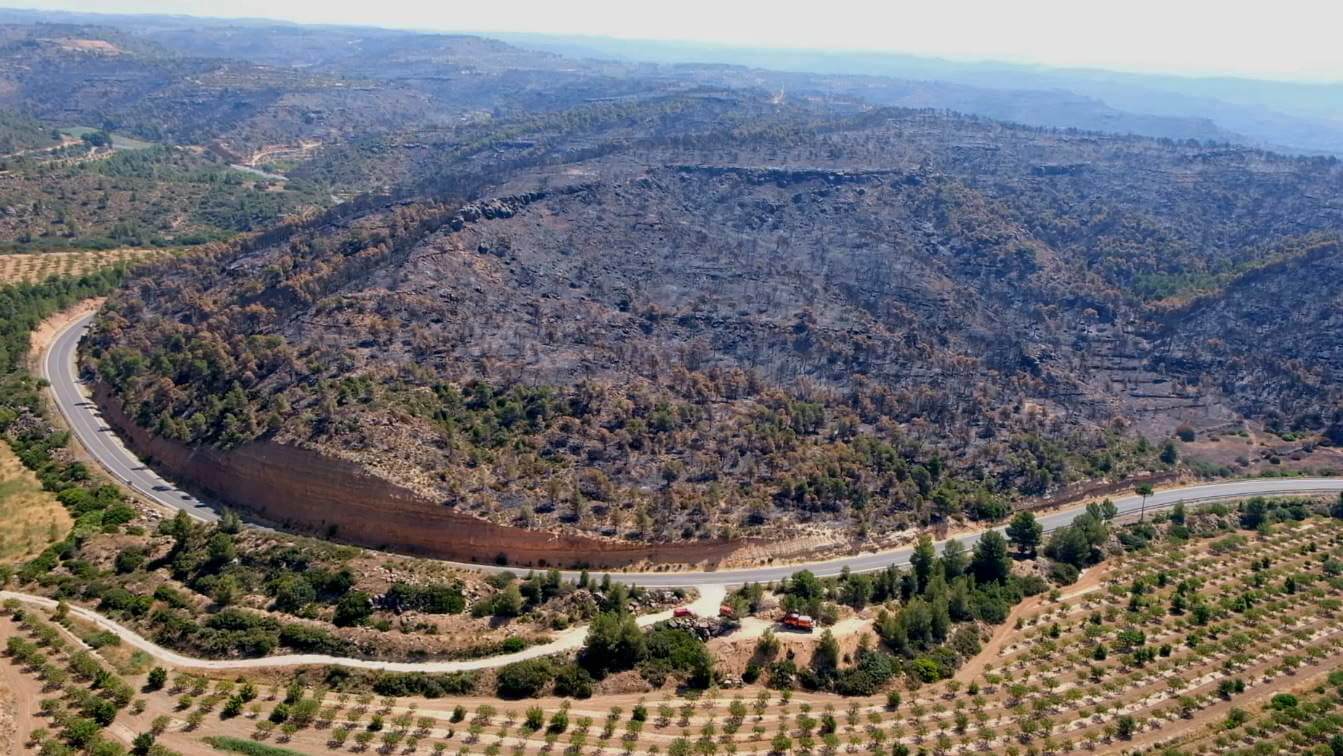 Pożary lasów w Hiszpanii fot. EPA/OCU-UME